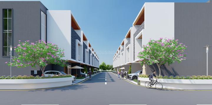 Gallery Cover Pic of Pyramid Elite