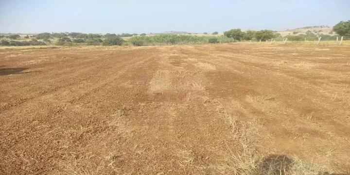 Gallery Cover Pic of Haripriya Budhera Bliss