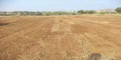 Residential Lands for Sale in Haripriya Budhera Bliss