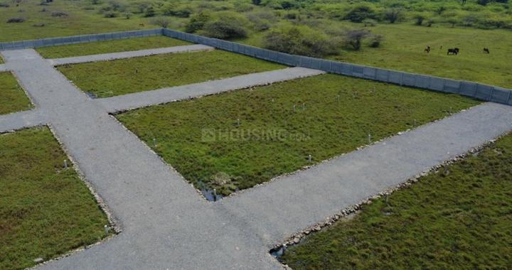 Gallery Cover Pic of Astra King