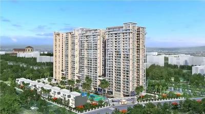 Sikka Kimaantra Greens