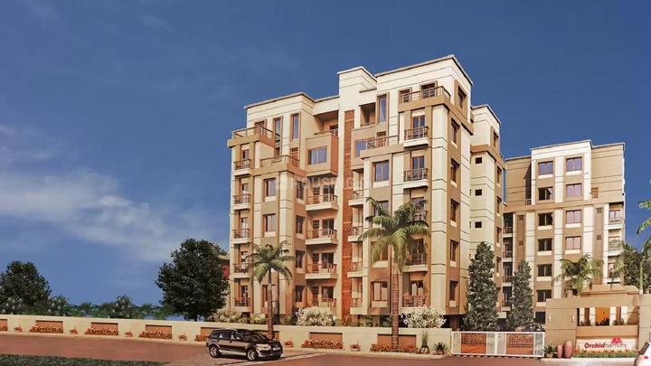 Gallery Cover Pic of Orchid Harmony