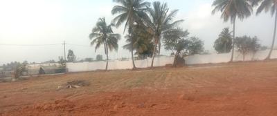 Residential Lands for Sale in PSN Misty Woods