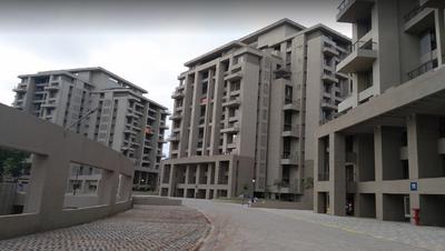 Enerrgia Skyi Songbirds Phase C