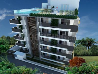 Nest Nest The Urbanite Project Images