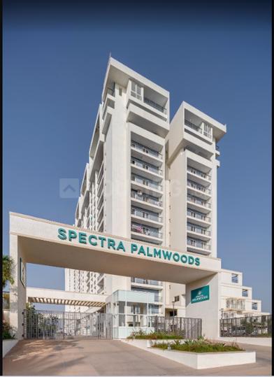 Gallery Cover Pic of Spectra Palmwoods
