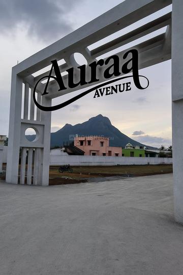 Gallery Cover Pic of Archadius Aura Avenue