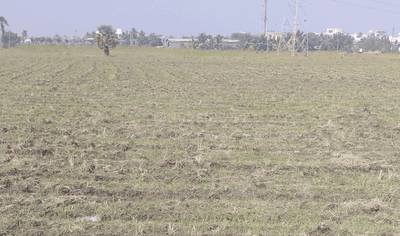Residential Lands for Sale in Gruham Lifestyle