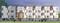 Gallery Cover Pic of XS Real Courtyard Phase 2