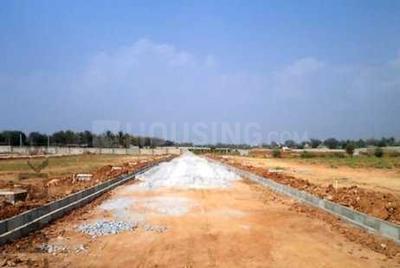 Confident Group Plots Project Images