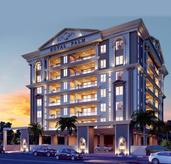 Gallery Cover Pic of Royal Palm