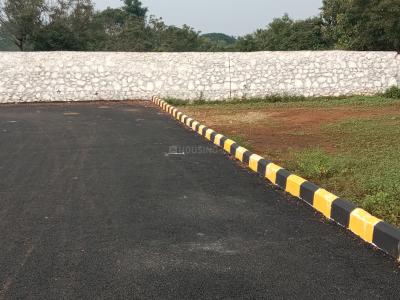 TNC Mangalya