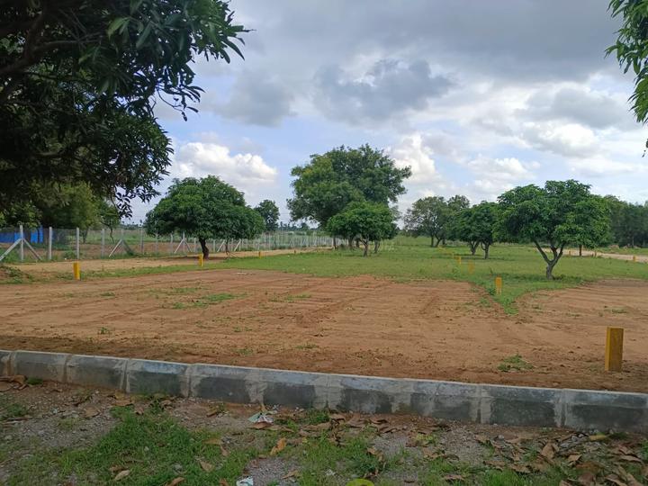 Gallery Cover Pic of Greater Green Farms