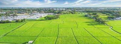 Suncity Park III