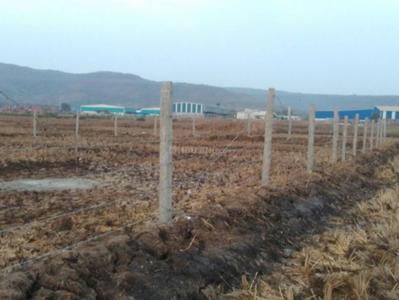 Gallery Cover Pic of Red Feet Plots