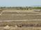 Cityprop Plots in Uran Elevation 1
