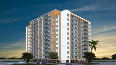 Big Banyan Roots Project Images