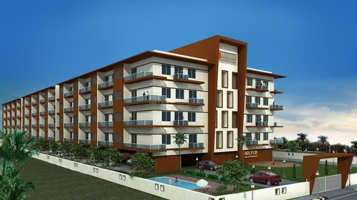 Gallery Cover Pic of Daffodils