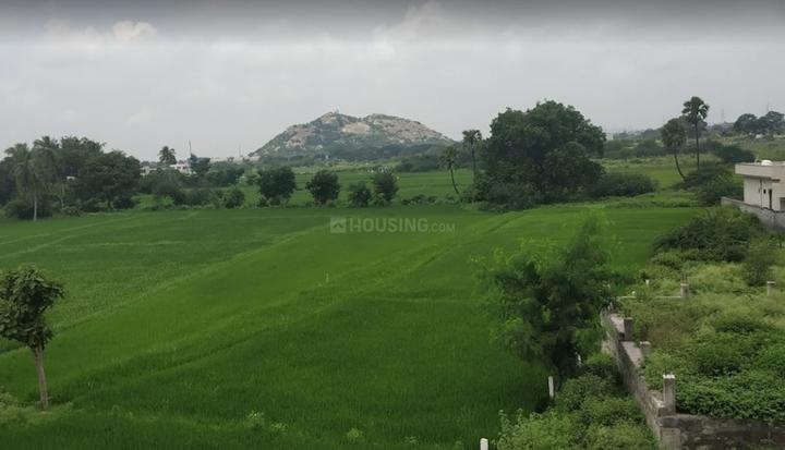 Gallery Cover Pic of Narne East City