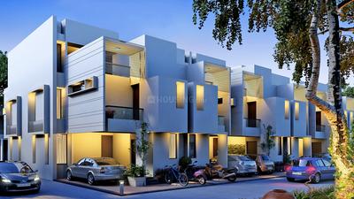 Suryam Placid