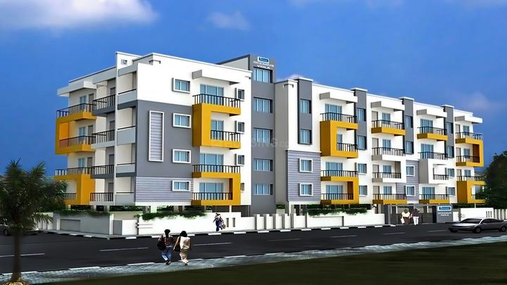 Oceanus Viola More Images 1