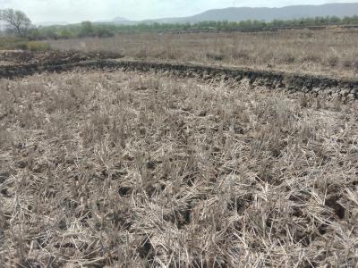 Project Image of 1089 Sq.ft Residential Plot / Land for sale in jui for Rs. 700000