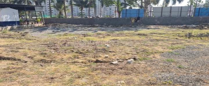 Gallery Cover Pic of Velvet Velly