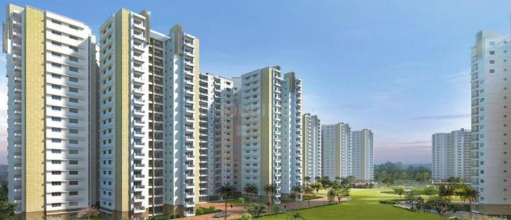 Gallery Cover Pic of Prestige Sycamore