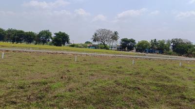 Residential Lands for Sale in Revins KM Nagar