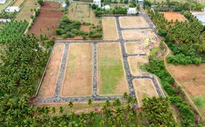 Gallery Cover Pic of Nila Garden
