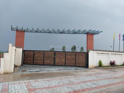 Sky Line Boulevard Elevation 1