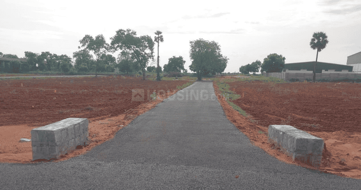 Maragatham Garden Crown Main Image 1