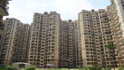 Project Images Image of Vivek PG in Noida Extension, Greater Noida