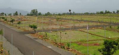 Viera Achira Greens