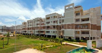 True Park Rozalia Elevation 1