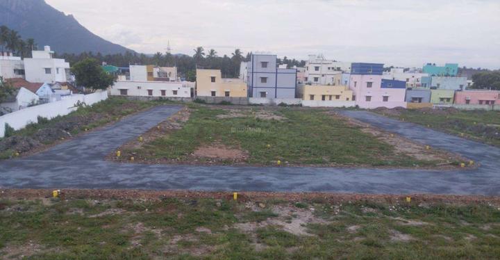 Gallery Cover Pic of ARS Garden