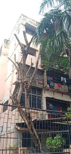 Gallery Cover Pic of Yoga Apartments