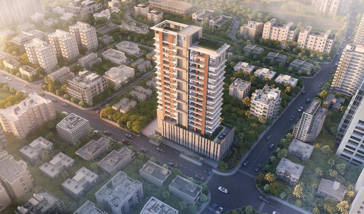 Gallery Cover Pic of Verbina