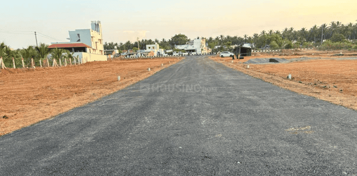 Gallery Cover Pic of VSS Avenue