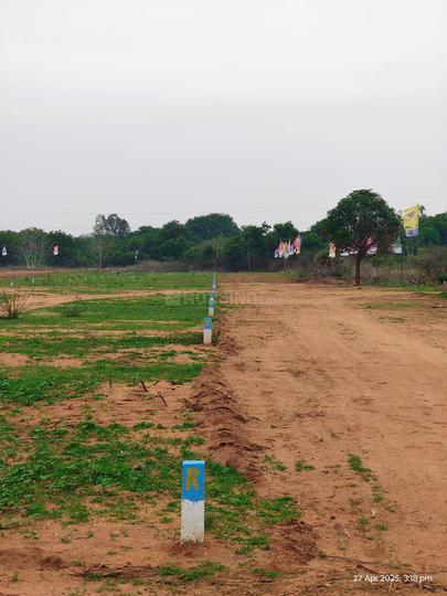 Gallery Cover Pic of Lotus Dream City