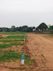 Lotus Dream City Project Images