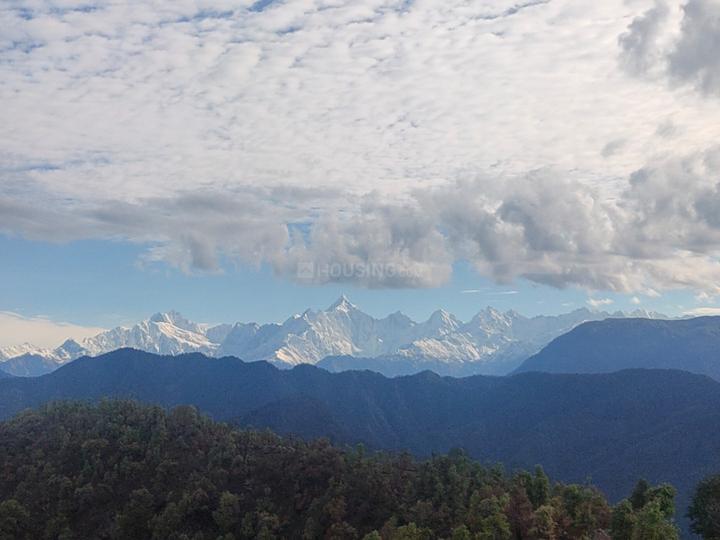 Gallery Cover Pic of Reputed Test A