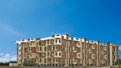 DS Max Sandalwood