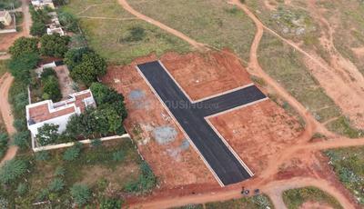 Gallery Cover Pic of CK Nagar