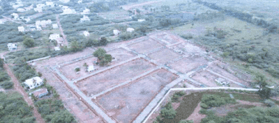 Mekas Garden Project Images