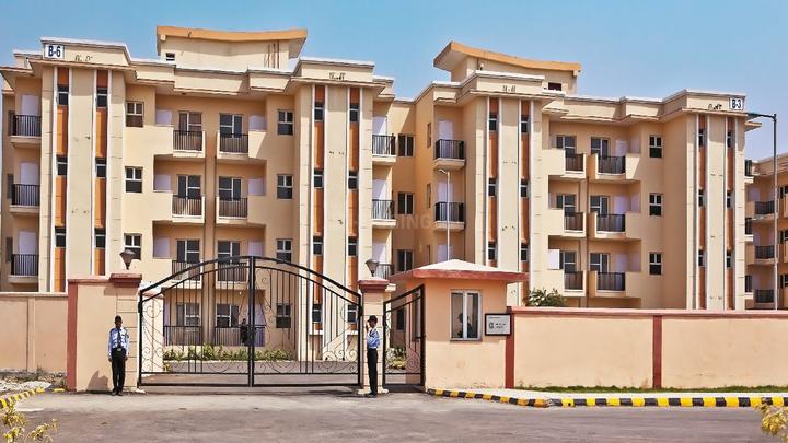 Sare Ebony Greens - Image 1