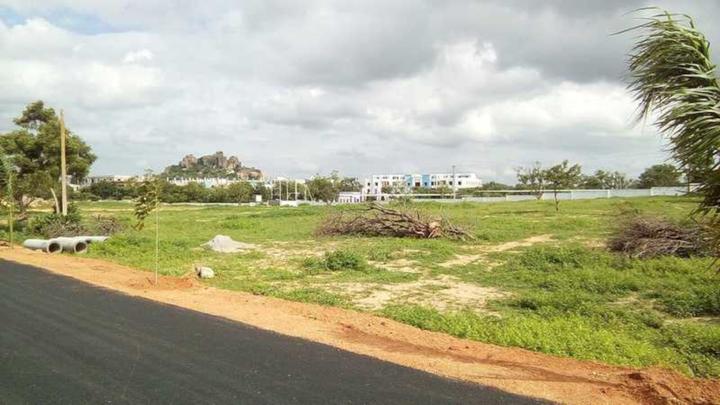 Gallery Cover Pic of Suchirindia Oyster Blue