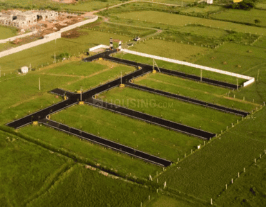 Gallery Cover Pic of Tellus Avenue