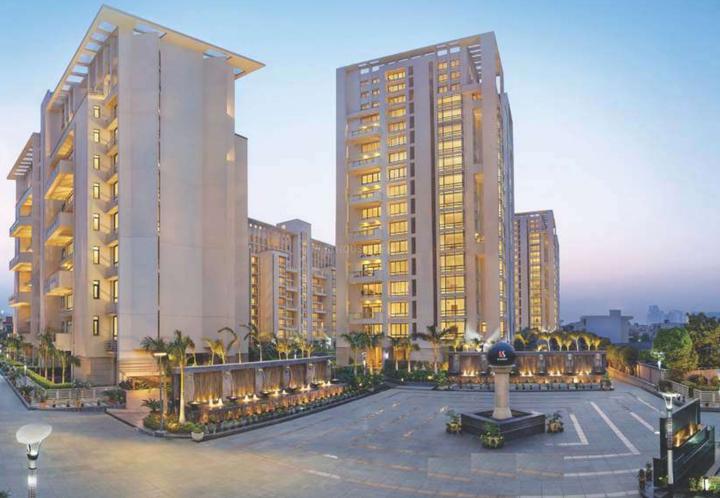 Gallery Cover Pic of SS The Hibiscus