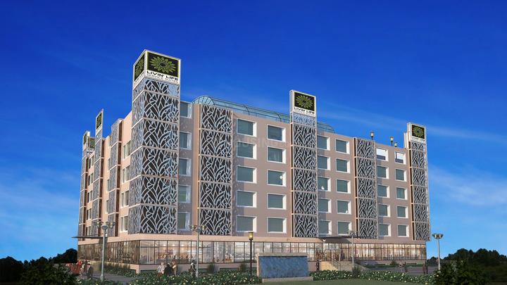 Mass Build Well Livin' Life - Image 1